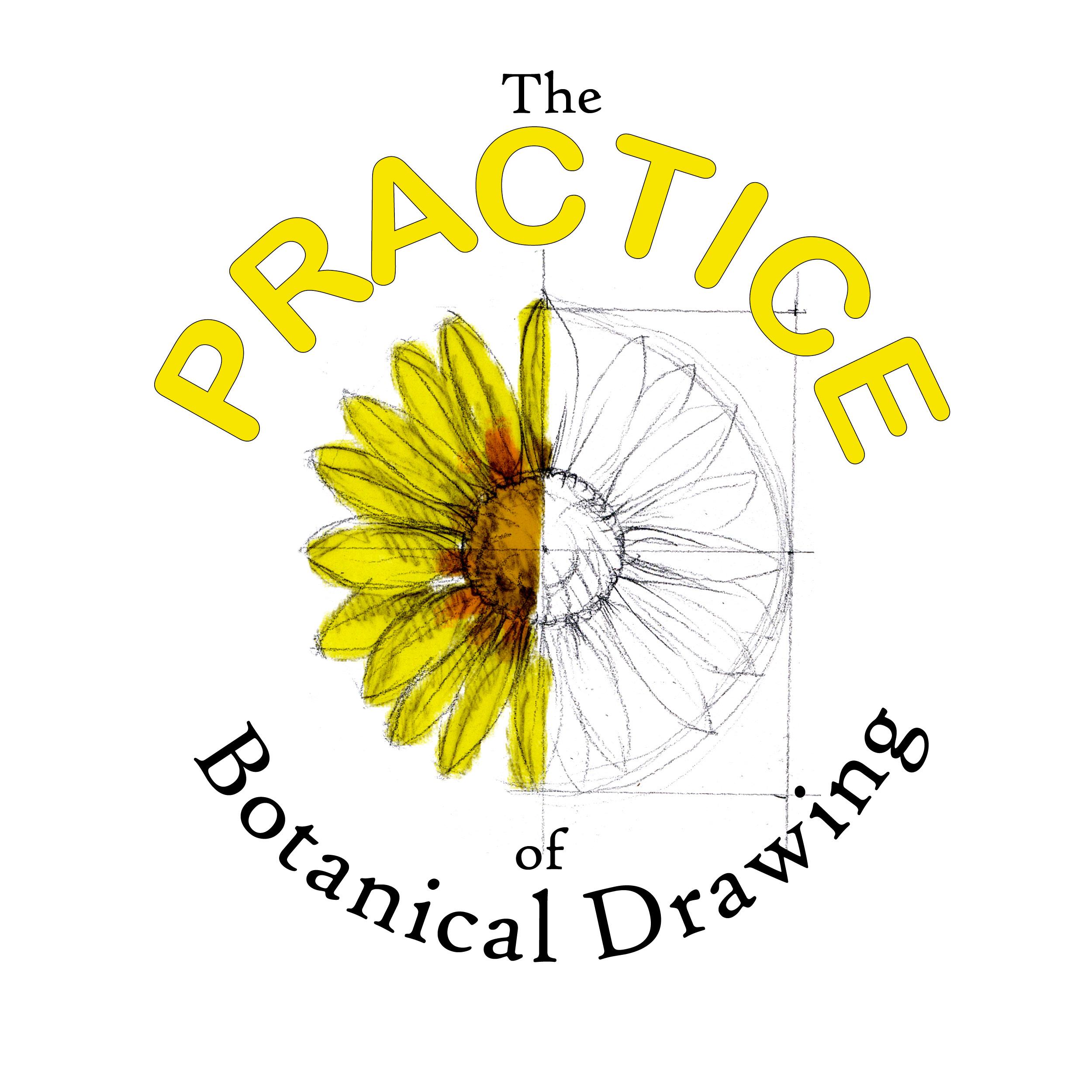 Drawing Art Logo - The Practice of Botanical Drawing Complete Course - Draw Botanical