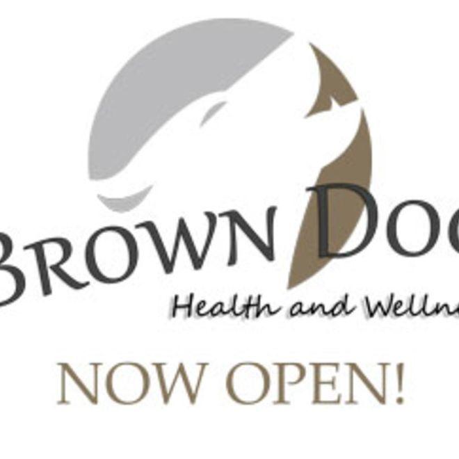 Brown Dog Logo - Home Palm Springs Brown Dog Health and Wellness Hot Springs