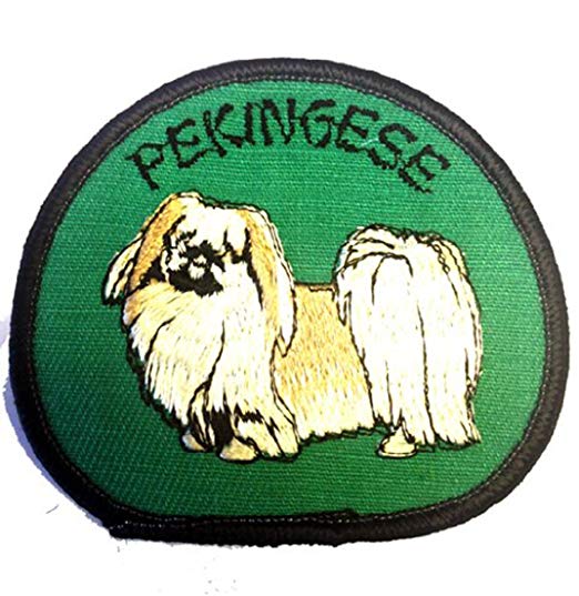 Brown Dog Logo - Pekingese Brown DOG Logo Stitch Only Green Patch