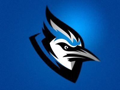 Bird Team Logo - Blue Jay. Sports Graphics. Logos, Sports logo, Bird logos