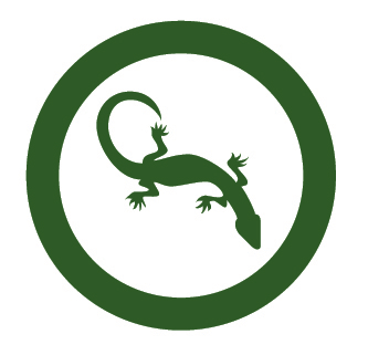 Green Lizard Logo - International Zoo Veterinary Group (UK)