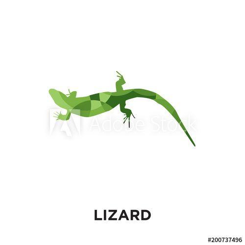 Green Lizard Logo - lizard logo isolated on white background for your web, mobile