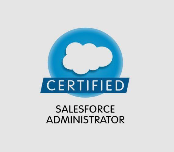 Salesforce Admin Logo - Sales Force Dot Com | Pingala Software