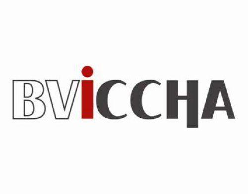 BVI Logo - One Love BVI