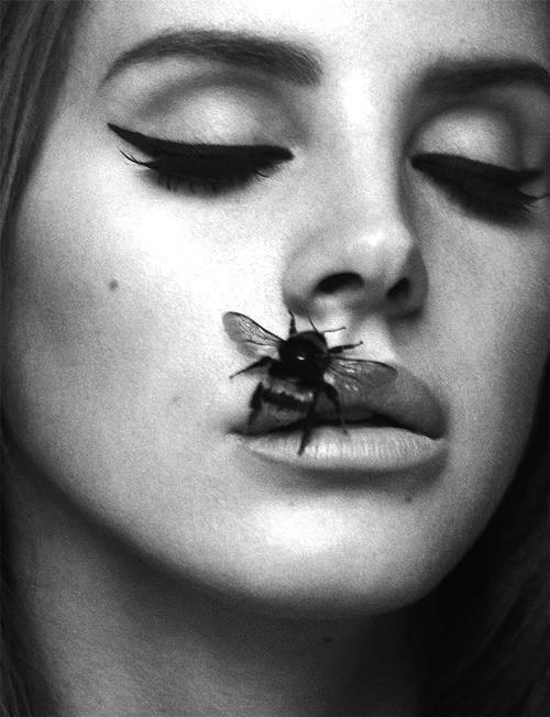 Lana Del Rey Black and White Logo - The Authenticity of Lana Del Rey – Edwin Del Bosque – Medium