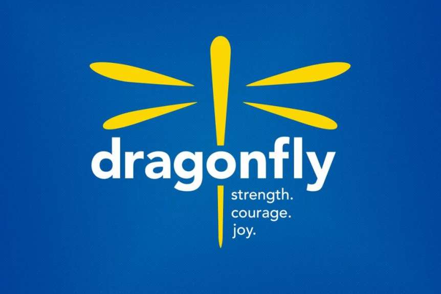 Dragonfly Logo - Dragonfly Logo Archives – The Dragonfly Foundation