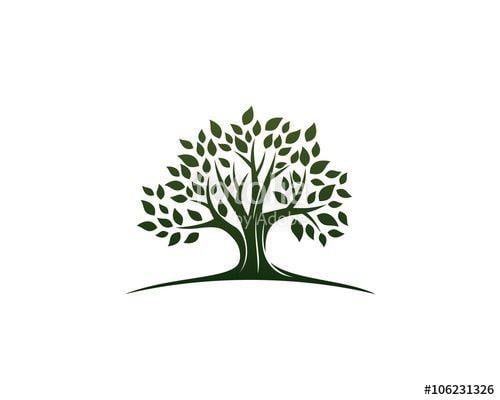 Green Tree Logo - Green Oak Tree Logo Stock Image And Royalty Free Vector Files