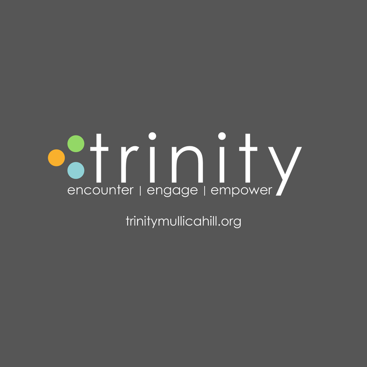 Trinity Logo - Trinity Logo — ugalicreative