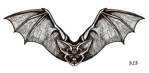 Gothic Bat Logo - Gothic Bat by SlayerSyrena on DeviantArt