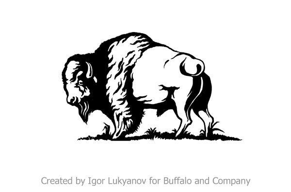 American Bison Logo - Realistic Illustrative Logo and Mascot