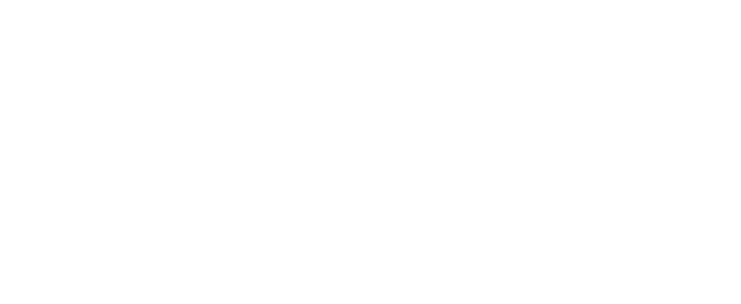 Spring Polar Logo - Lightroom preset