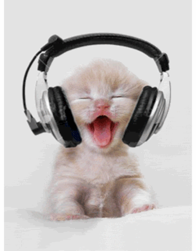 Cat Wearing Headphones Logo - Your Beats by Dre headphones | Animals &/or Babies! | Cats, Kittens ...