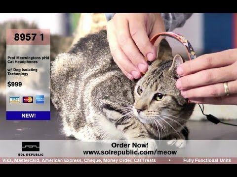 Cat Wearing Headphones Logo - Cats wearing headphones - YouTube