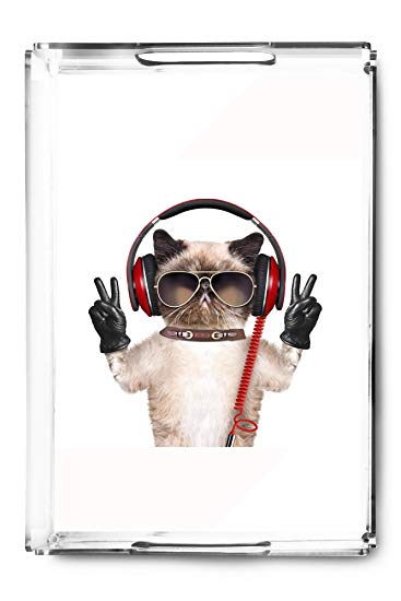 Cat Wearing Headphones Logo - Amazon.com | Cat Wearing Headphones like a DJ Photography A-90259 ...