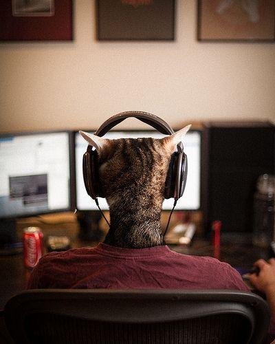 Cat Wearing Headphones Logo - Why I wear headphones at work | Community Manager Musings