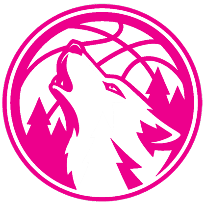 MN BCA Logo - Minnesota Timberwolves secondary logo BCA - Roblox