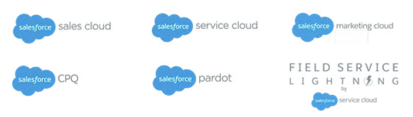 Salesforce Sales Cloud Logo - Bluewolf Go™
