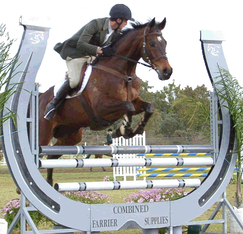 Horse Jumping through Horseshoe Logo - Combined Farrier Supplies. The Farriers Toyshop