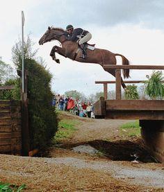 Horse Jumping through Horseshoe Logo - 409 Best Photo's, Horses, Jumping images in 2019 | Equine ...