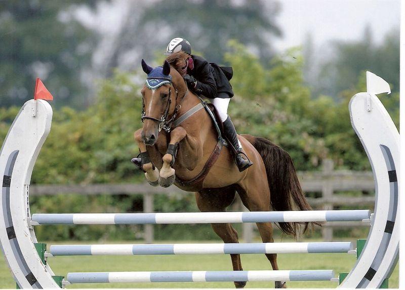 Horse Jumping through Horseshoe Logo - Brown horse jumping threw a horse shoe. Equestrian Events & Sports