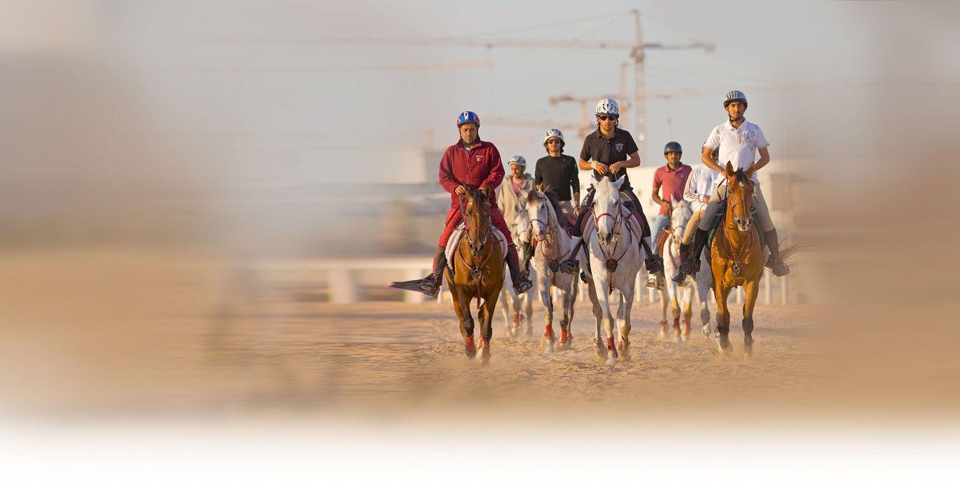 Horse Jumping through Horseshoe Logo - Home | Al Shaqab