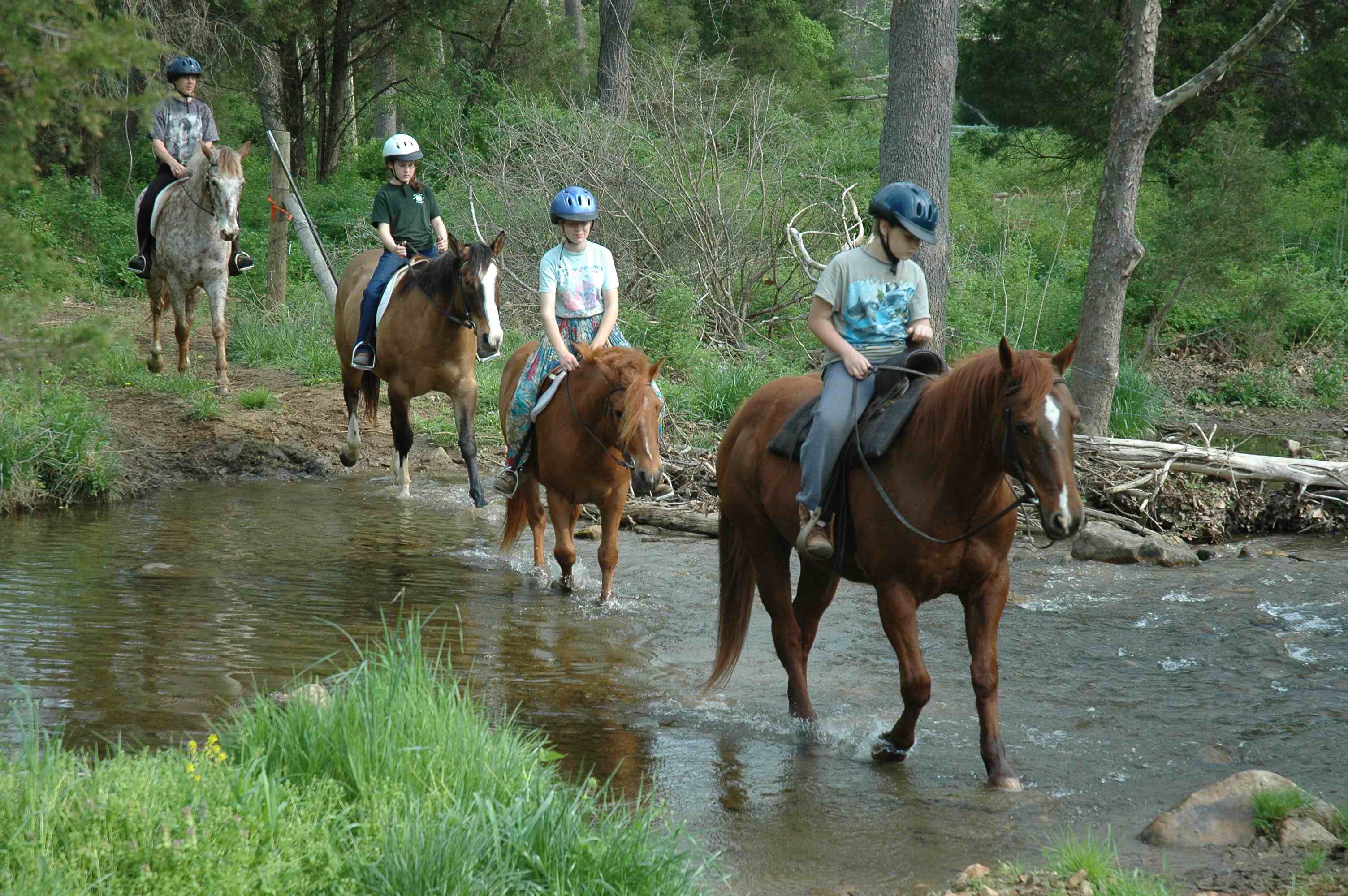 Horse Jumping through Horseshoe Logo - Royal Horseshoe Farm - Trail Rides, Horse Riding Lessons, Parties ...