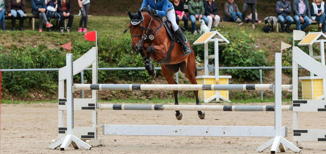 Horse Jumping through Horseshoe Logo - horse; jumping; tournament; equestrian; gelding; stallion; saddle