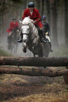 Horse Jumping through Horseshoe Logo - Best Horse Photo image. Equine photography, Horse