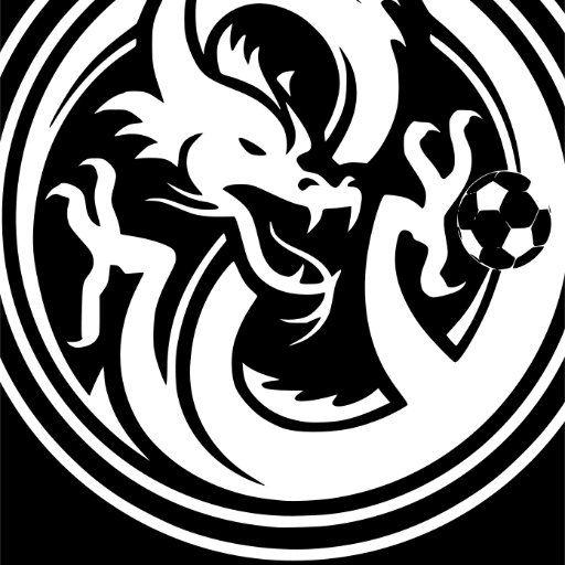 Dragon Soccer Team Logo - Dragons Soccer Club
