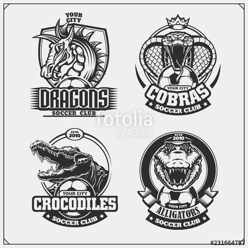 Dragon Soccer Team Logo - Set of soccer emblems, badges, logos and labels with cobra