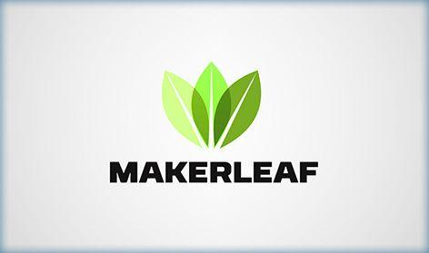 Modern Leaf Logo - 3D Logo