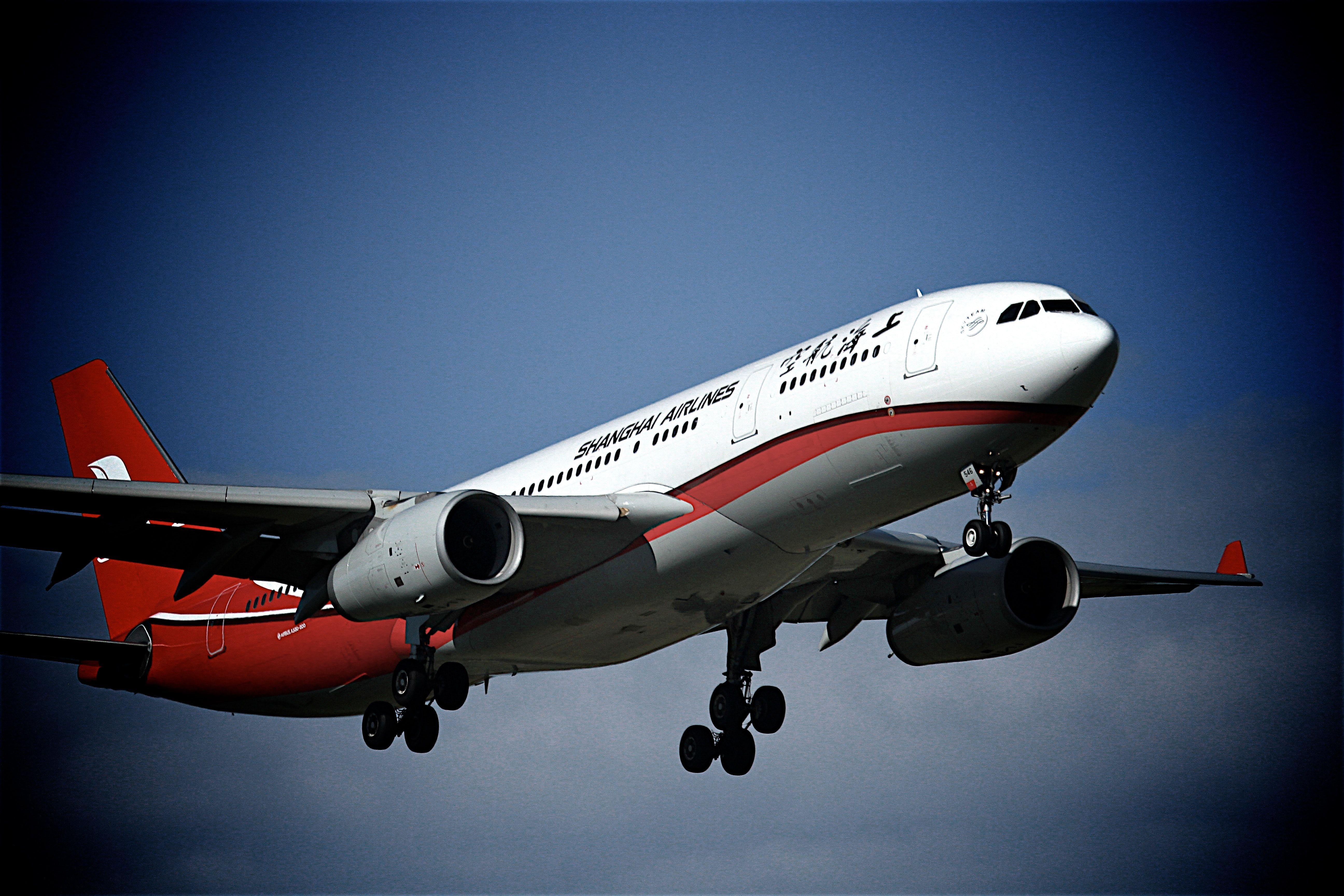 White and Red Airline Logo - White and Red Plane · Free Stock Photo