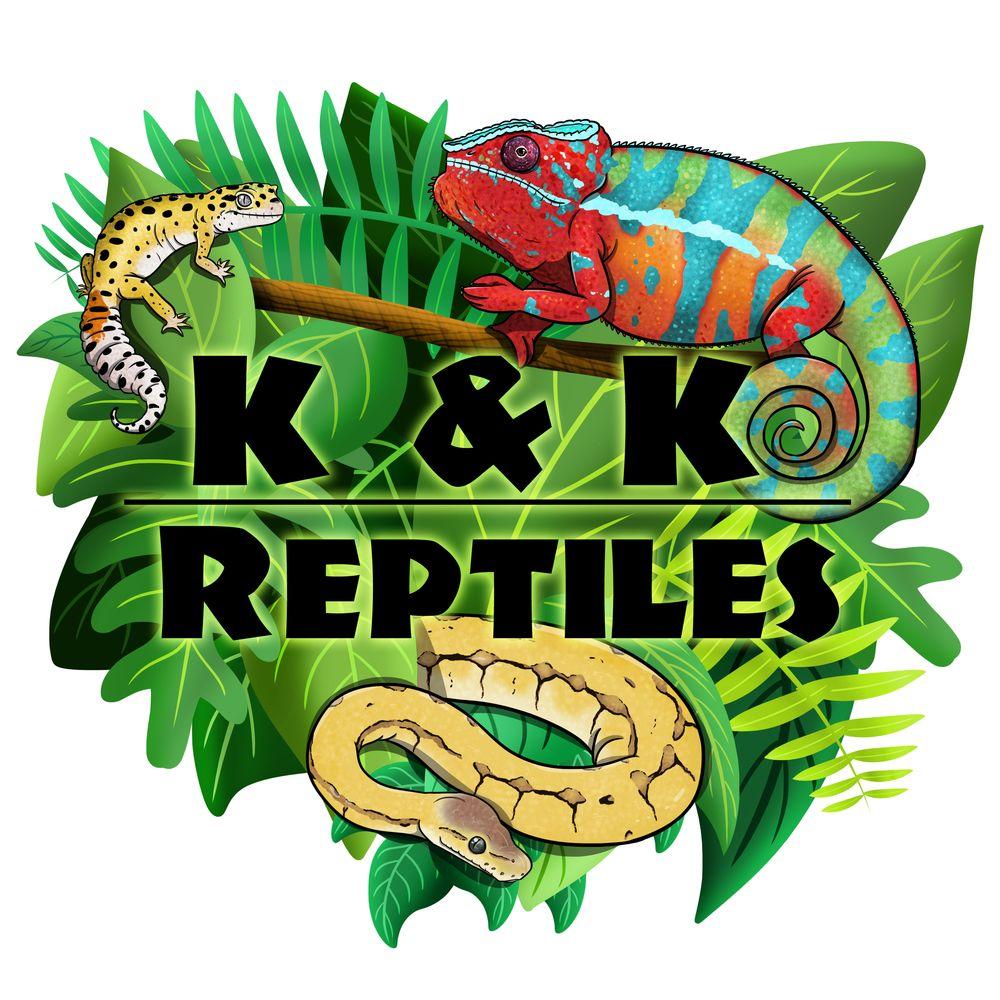 Reptile Logo - Design