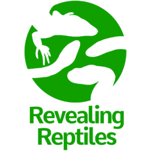 Reptile Logo - Dragons on your doorstep