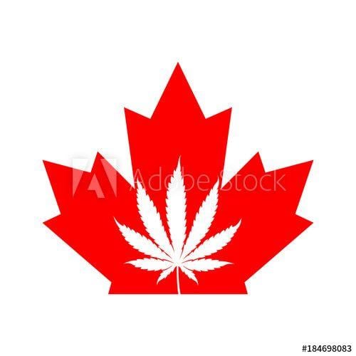 Red Maple Leaf Weed Logo - A Canadian maple leaf icon with a marijuana leaf in the middle