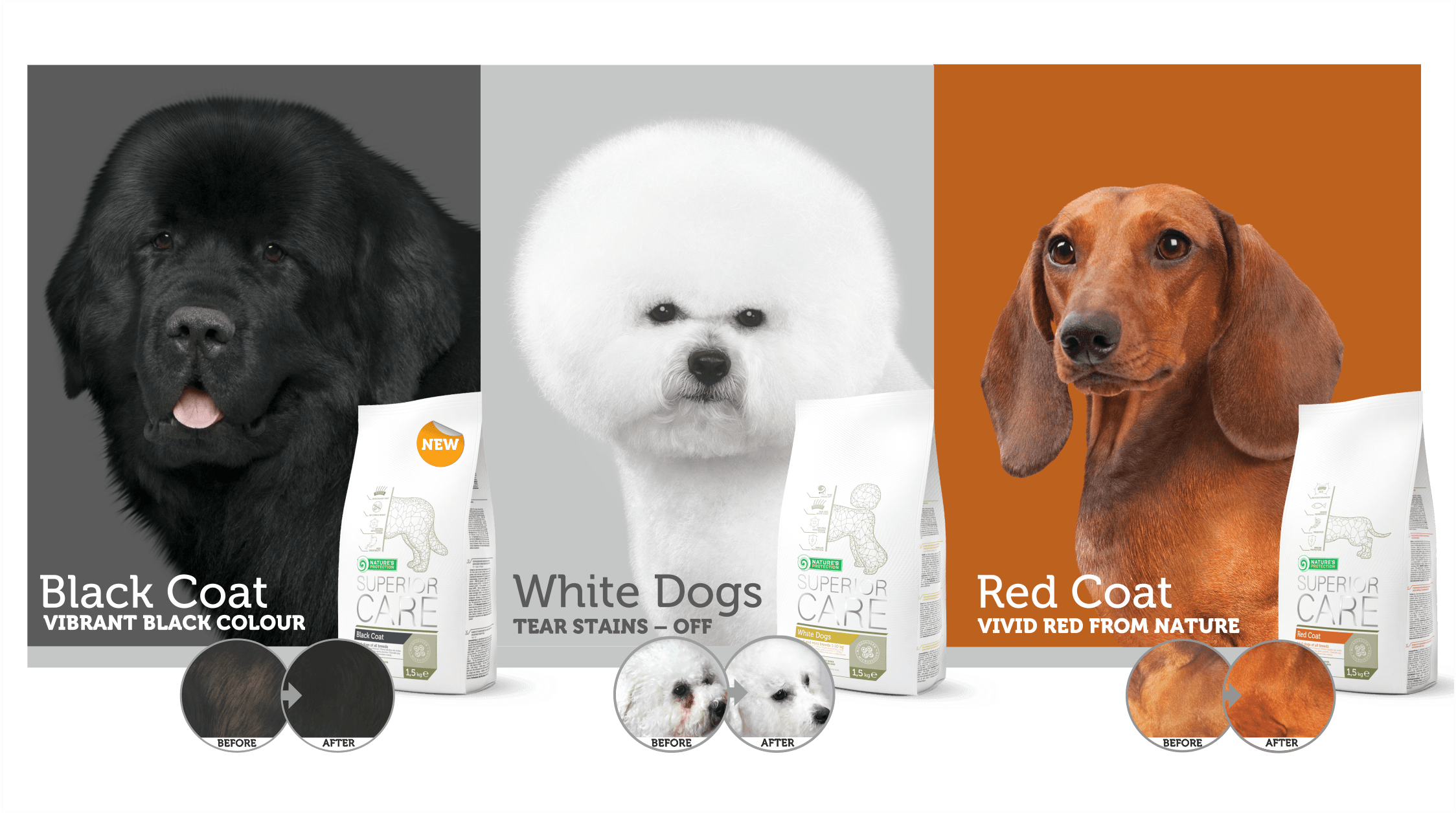 Dog a Red Web Logo - The New Superior Care Standard for White Dogs, Red and Black Coat ...