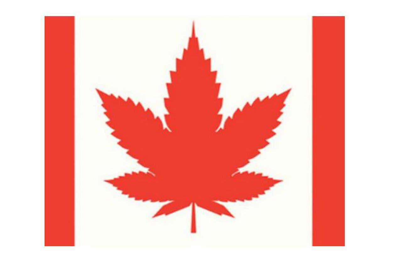 Red Maple Leaf Weed Logo - Canadian Cannabis Companies Correct After Capital Raising Crescendo