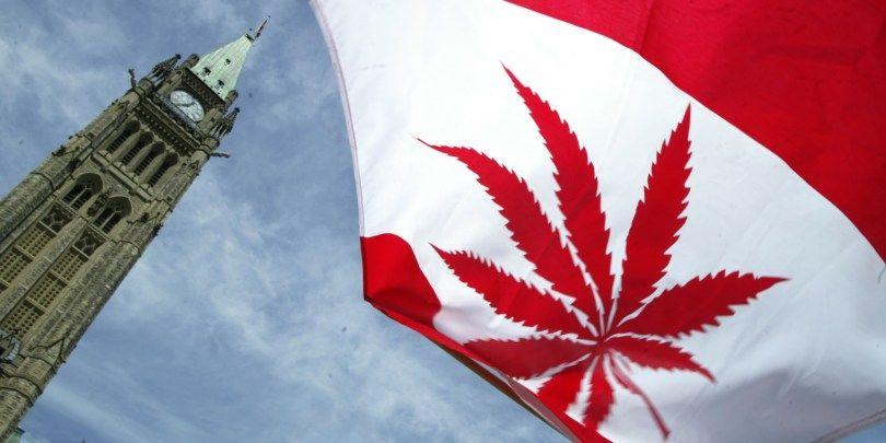 Red Maple Leaf Weed Logo - From maple leaf to pot leaf: Legal weed arrives in Canada