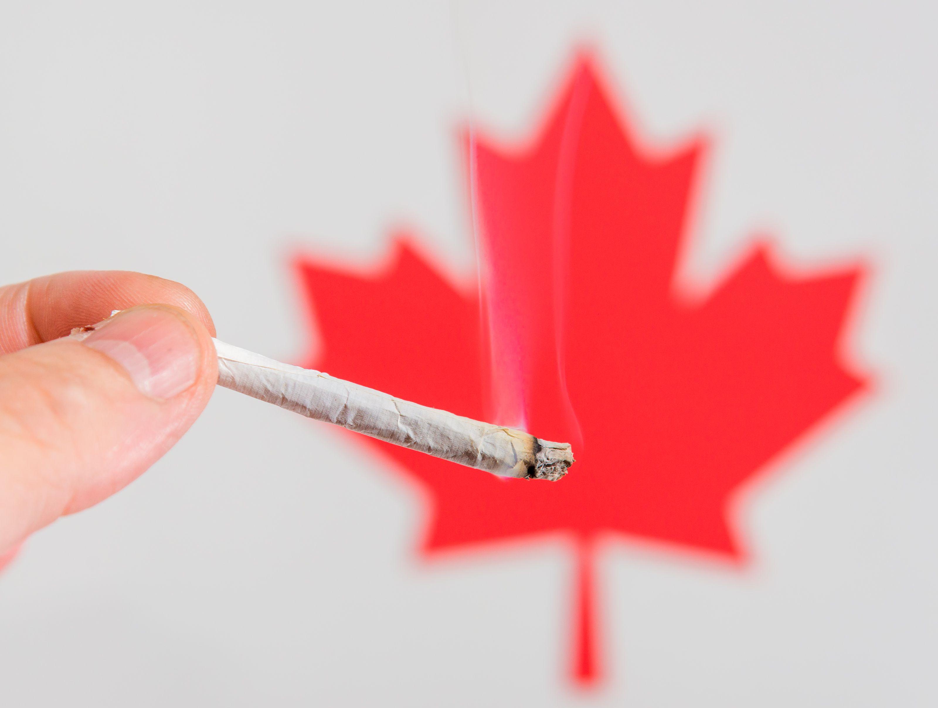 Red Maple Leaf Weed Logo - 4 Reasons Canada's Marijuana Industry Is Running Circles Around the ...