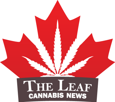 Red Maple Leaf Weed Logo - The Leaf - Cannabis News