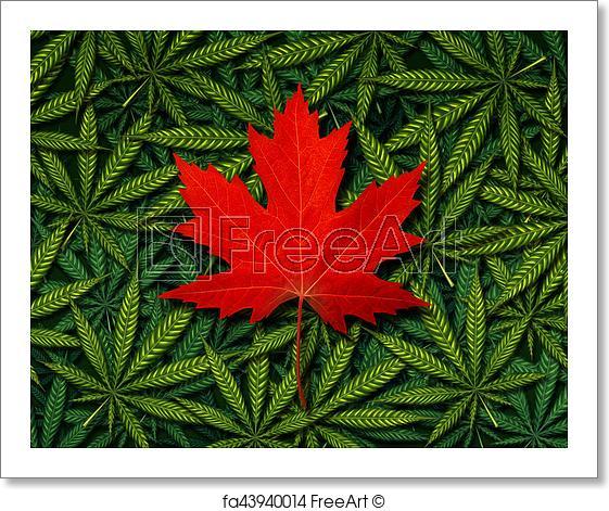 Red Maple Leaf Weed Logo - Free art print of Canadian Marijuana Concept. Canadian marijuana
