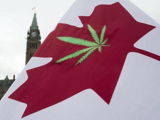 Red Maple Leaf Weed Logo - What Canadian marijuana legalization looks like