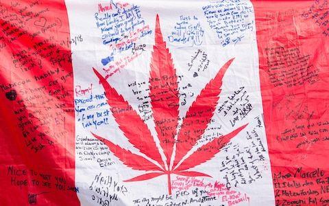 Red Maple Leaf Weed Logo - Canada becomes first major economy to legalise recreational cannabis