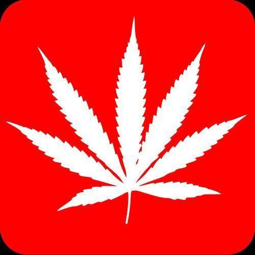 Red Maple Leaf Weed Logo - Red Marijuana Weed 3.5 inch Sticker Vinyl Decal Stickers die cut