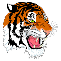 Tiger Basketball Logo - Carthage High School Athletics - Official Athletics Website