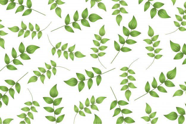 Elegant Green Leaf Logo - Vector illustration of green leaf background. elegant floral pattern