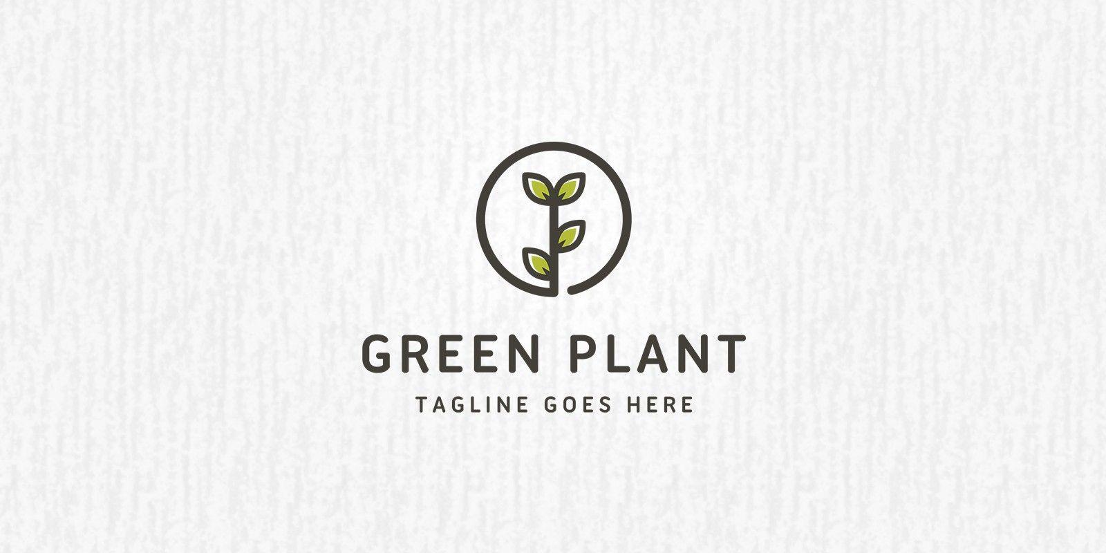 Plant Logo - Green Plant Logo Template | Codester
