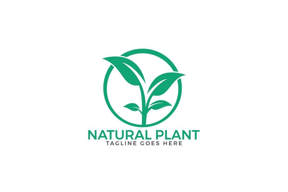 Plant Logo - Natural Plant logo design.