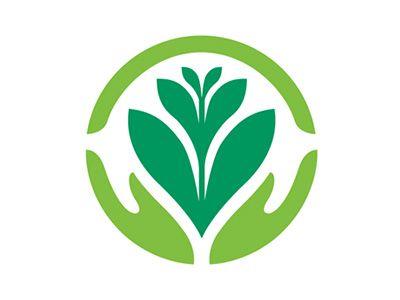 Plant Logo - Plant Logo by Christopher Lee | Dribbble | Dribbble