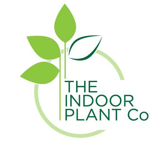 Plant Logo - The Indoor Plant Company – Logo Design | Ivy Design